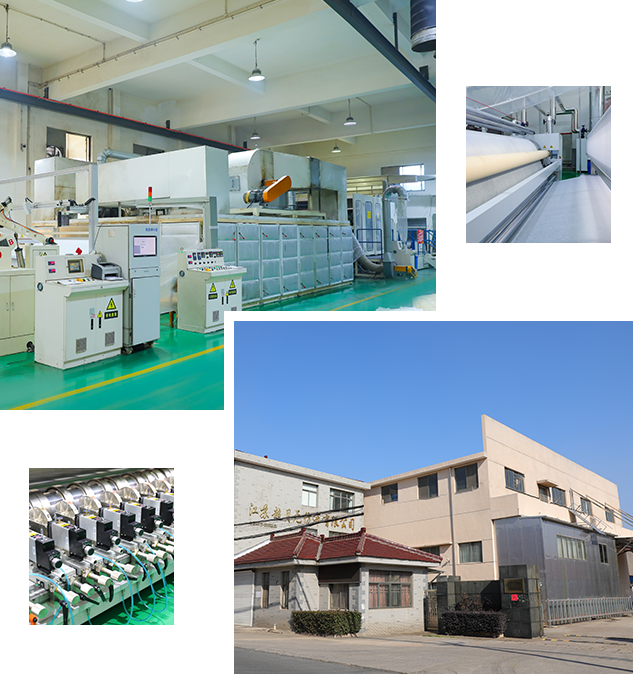 Jiangsu Chaoyue Fabric Bukan Tenunan Co., Ltd.